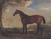 John Ferneley Portrait of a Hunter Mare,The Property of Robert shafto of whitworth park,durham oil painting picture wholesale